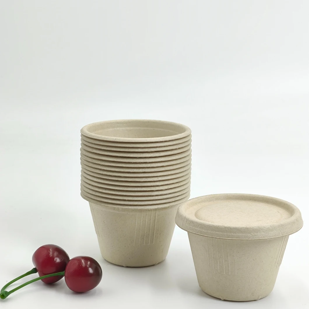 100% Biodegradable Tableware Tableware Dinnerware Compostable Pulp Board Packaging Gradable Food Bagage Sugarcane Bagasse Paper Sauce Cup 2oz 4oz